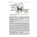 Анатомия нервной системы: Учебное пособие для студентов. 4-е изд
