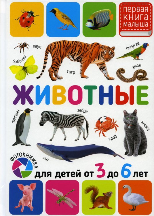 Животные. Для детей от 3-6 лет