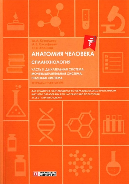 Анатомия человека. Спланхнология. Ч. 5. Дыхательная система. Мочевыделительная система. Половая система: Тетрадь-практикум