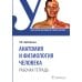 Анатомия и физиология человека. Рабочая тетрадь. Учебное пособие