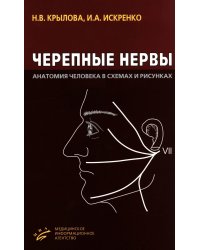 Черепные нервы: Анатомия человека в схемах и рисунках: Атлас-пособие. 6-е изд