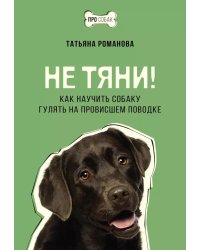 Не тяни! Как научить собаку гулять на провисшем поводке