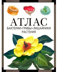 Бактерии, грибы, лишайники, растения: атлас. 4-е изд