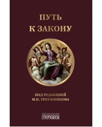 Путь к закону (исходные документы, пояснительные записки, материалы конференций, варианты проекта ГПК, новый ГПК РФ) 2-е изд