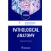 Pathological Anatomy. Textbook