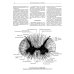 Атлас анатомии человека. В 3 т. Т. 3: Неврология. Эстезиология: Учебное пособие. 7-е изд., перераб