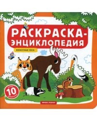 Животные леса. Книжка-раскраска