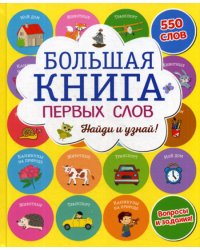 Большая книга первых слов