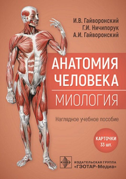 Анатомия человека. Миология. Комплект карточек. Наглядное учебное пособие