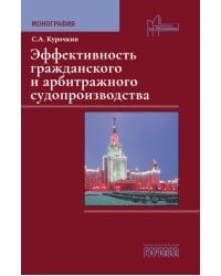 Эффективность гражданского и арбитражного судопроизводства: монография