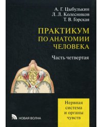 Практикум по анатомии человека. Часть 4. Нервная система и органы чувств