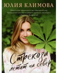 Стрекоза летит на север