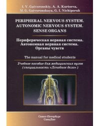 Периферическая нервная система. Автономная нервная система. Органы чувств. Учебное пособие