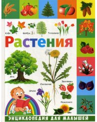 Растения