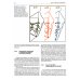 Дисфункции височно-нижнечелюстного сустава в ортодонтии. Клиническое руководство