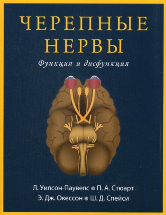 Черепные нервы. Функция и дисфункция