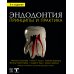 Эндодонтия. Принципы и практика. 6-е изд