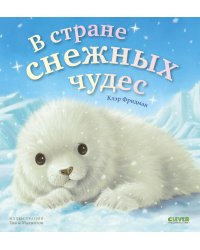 В стране снежных чудес