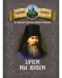 Зачем мы живем. По творениям святителя Феофана Затворника