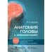 Анатомия головы (с нейроанатомией). Руководство для студентов медицинских специальностей вузов