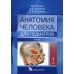 Анатомия человека для педиатров: Учебник. В 2 т. Т. 1