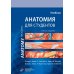 Анатомия Грея для студентов: Учебник для студентов мед. ВУЗов. 3-е изд