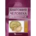 Анатомия человека для педиатров: Учебник. В 2 т. Т. 2