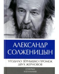 Угодило зернышко промеж двух жерновов: Очерки изгнания