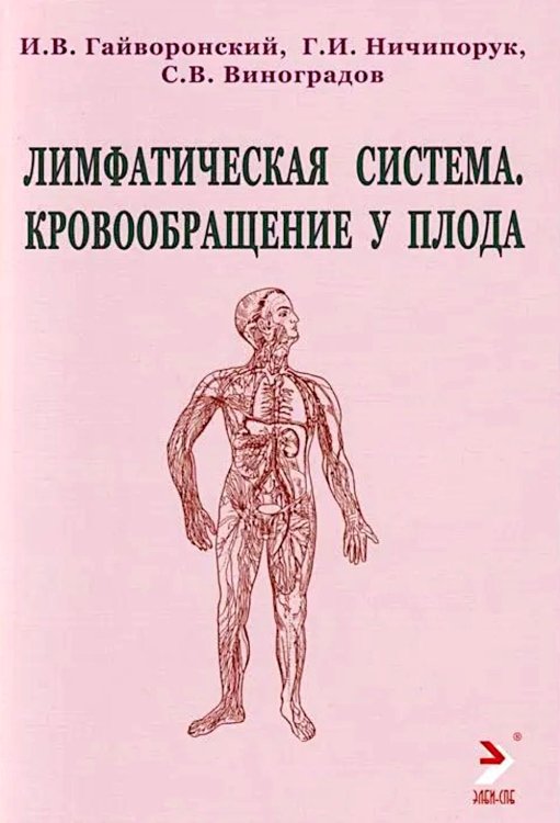 Лимфатическая система. Кровообращение у плода. Учебное пособие