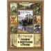 История гравюры и литографии в России