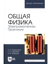 Общая физика. Электромагнетизм. Практикум. Учебное пособие для вузов