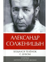 Бодался теленок с дубом: Очерки литературной жизни