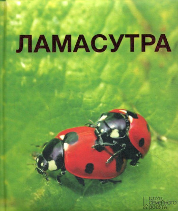 Ламасутра