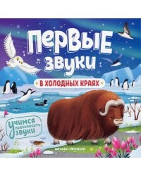 В холодных краях. Книжка-гармошка