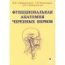 Функциональная анатомия черепных нервов. Учебное пособие