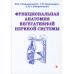 Функциональная анатомия вегетативной нервной системы. Учебное пособие