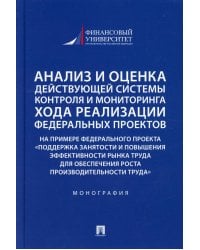 Анализ и оценка действующей системы контроля и мониторинга хода реализации федеральных проектов