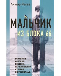 Мальчик из Блока 66. Реальная история ребенка, пережившего Аушвиц и Бухенвальд