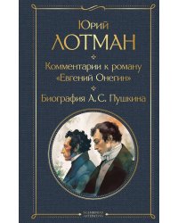 Комментарии к роману «Евгений Онегин». Биография А. С. Пушкина