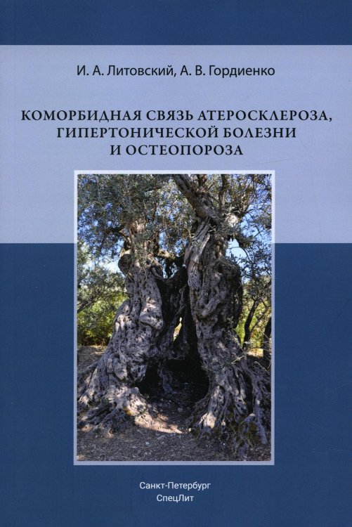 Коморбидная связь атеросклероза, гипертонической болезни и остеопороза