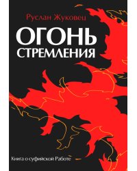 Огонь стремления. Книга о суфийской Работе