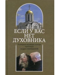 Если у вас нет духовника. На вопросы верующих отвечает протоиерей Андрей Спиридонов. 3-е изд