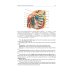 Topographic Anatomy and Operative Surgery: textbook: на англ.яз