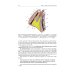 Topographic Anatomy and Operative Surgery: textbook: на англ.яз