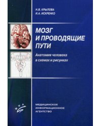 Мозг и проводящие пути. Анатомия человека в схемах и рисунках. Учебное пособие. Гриф УМО по медицинскому образованию