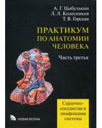 Практикум по анатомии человека. В 4-х частях. Часть 3. Сердечно-сосудистая и лимфоидная системы