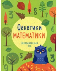 Заколдованный лес: развиваем математические способности