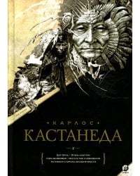 Дар Орла. Огонь изнутри. Сила безмолвия. Искусство сновидения. Активная сторона бесконечности. Том 2