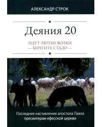 Деяния 20. Идут лютые волки - берегите стадо