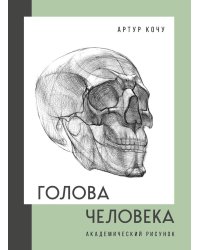 Голова человека. Академический рисунок